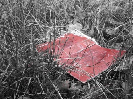 en se balladant dans les bois, on trouve des maisons abandonnées , puis squattées, et des restes de messes noires ou autres...La bible gisait dans l'herbe..:)