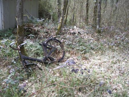 la petite bicyclette faisait dodo dans les ronces..