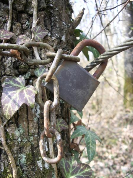 j'adore le hasard de trouver certains trucs sympas dans les bois...