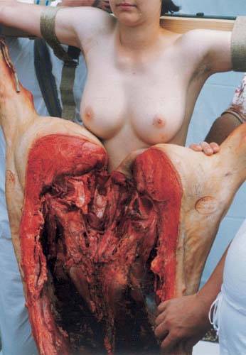 hermann NITSCH un 