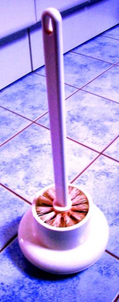 DEDICACE BROSSE A CHIOTTES !!! allias SEb !!!! mddrr ( retouchée par Toshop pour un effet bien cracra !! )