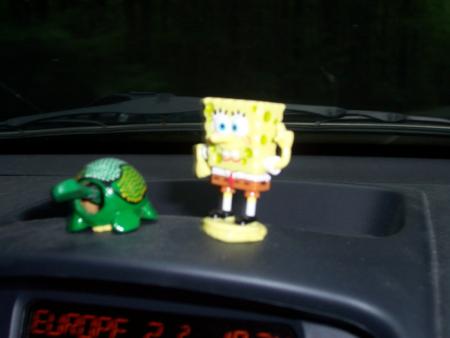 je vous présente Célestine la tortue, et Bob que tout le monde connait !! :) les amis de route de Delfine quoi !
